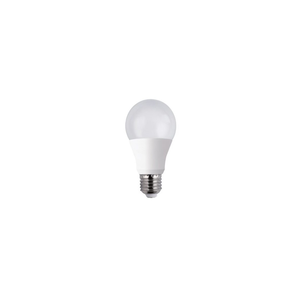 LAMPADA LED BULBO A60 E27 12W 6500K LUCE FREDDA (FLA6012W65K27)