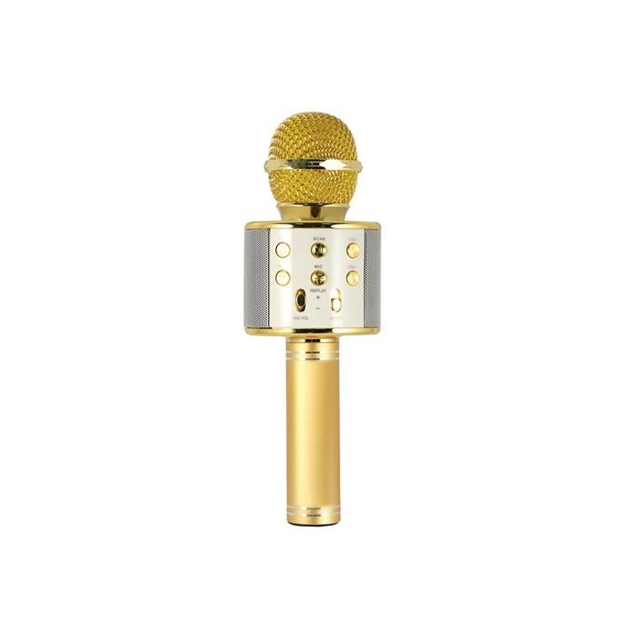 MICROFONO KARAOKE HOLLYWOOD ORO (27837K)