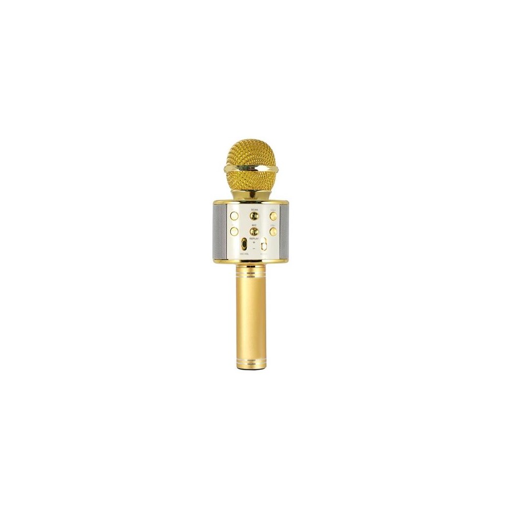 MICROFONO KARAOKE HOLLYWOOD ORO (27837K)