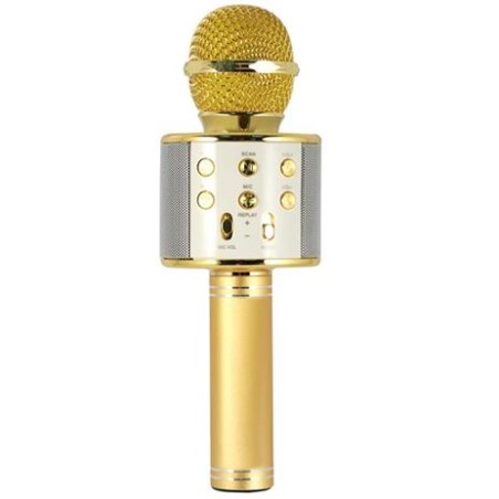 MICROFONO KARAOKE HOLLYWOOD ORO (27837K)