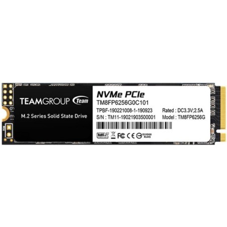 HARD DISK SSD 256GB MP33 M.2 (TM8FP6256G0C101)