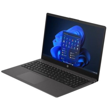 NOTEBOOK 250 G10 (9B9R5EA) WINDOWS 11 HOME