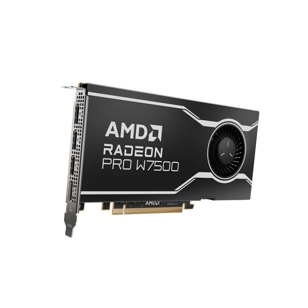 SCHEDA VIDEO RADEON PRO W7500 8 GB DDR6 (100-300000078)