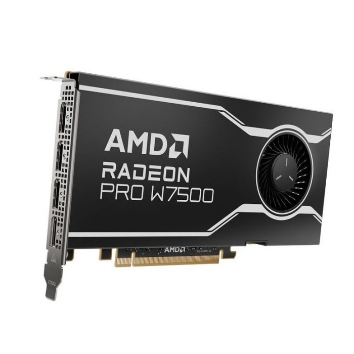 SCHEDA VIDEO RADEON PRO W7500 8 GB DDR6 (100-300000078)