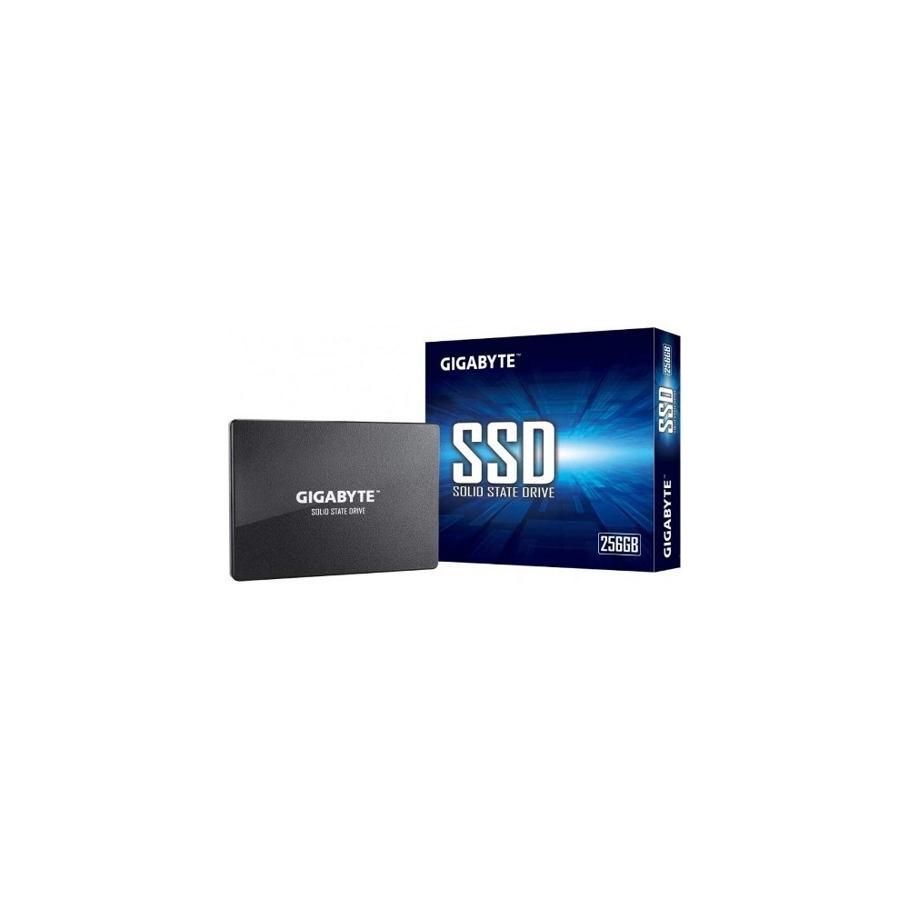 HARD DISK SSD 256GB SATA 3 2.5" (GP-GSTFS31256GTND)